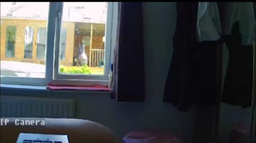 Our Danish mom naked in front of the window