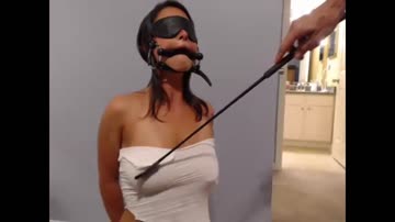 A tied up worshipping of sir