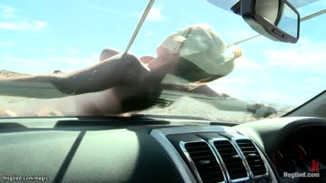 Busty sluts tormented in a desert