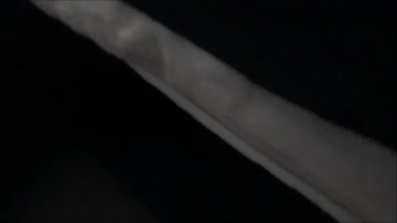 Alexis Fawx The Mother/Son Experience