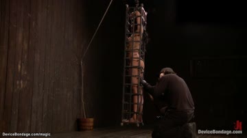 Mixed race slave corporal punished