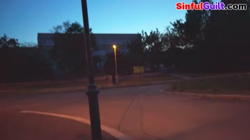 Pickedup euro fucked in van from behind before facial