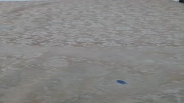 Most famous desi mms