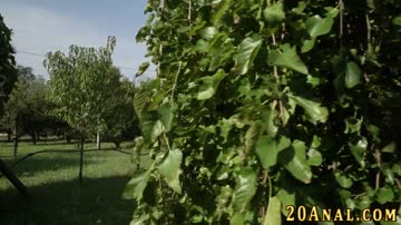 Beauty gets butthole railed