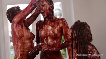 pie mess for lez 2