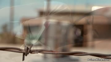 Man rough banged tied thief in bondage