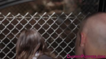 Busty teen gobbling cock